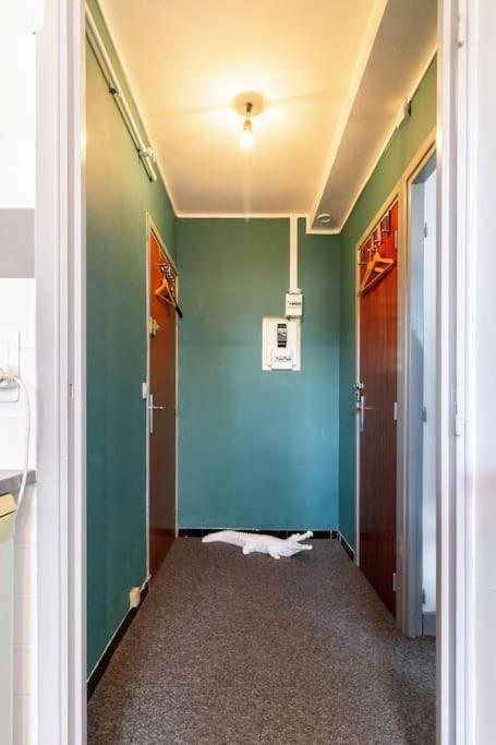 Double Appartement, Saint Michel, Parking, Wifi 툴루즈 외부 사진